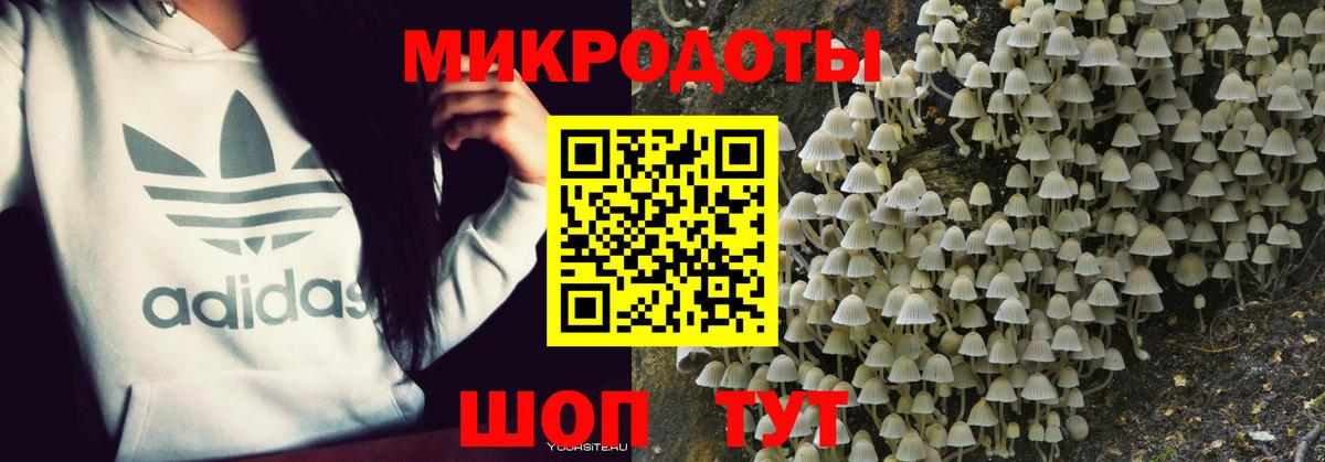 где продают наркотики  Галлюциногенные грибы мицелий  Вход с VPN  Галлюциногенные грибы мухоморы  Выкса 